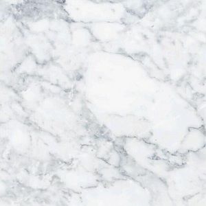 Meet your Posher, Camille