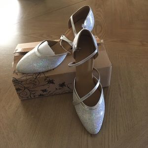 Silver Dance Shoes