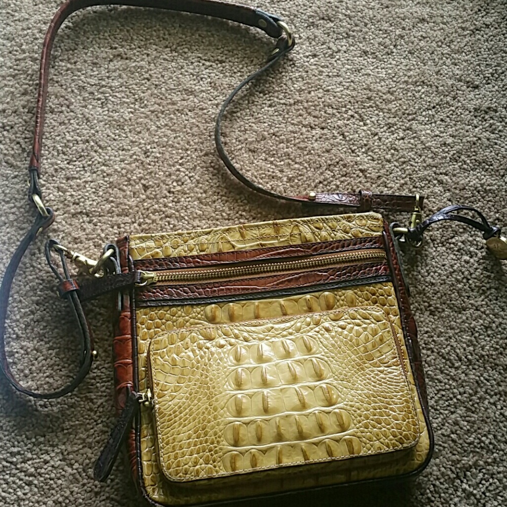 Brahmin Tricolor Cleo Crossbody