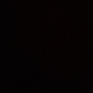 Meet your Posher, Trevor