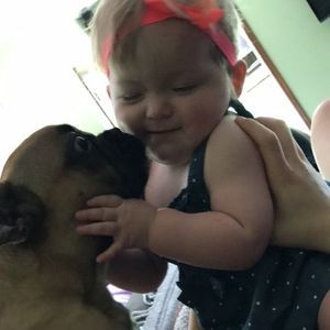 Meet your Posher, Peter