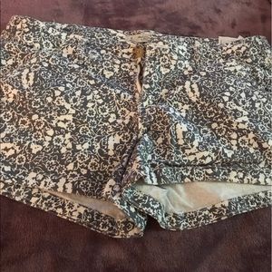 Abercrombie &Fitch Shorts