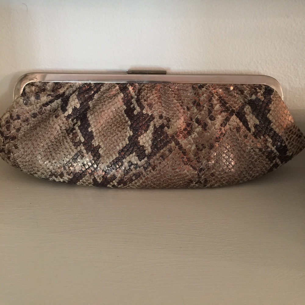 Banana Republic snakeskin clutch