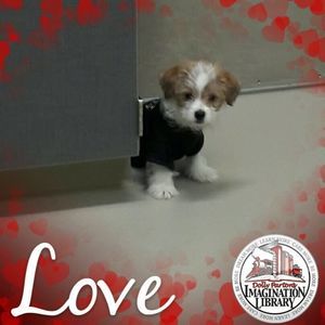 Meet your Posher, Bernice