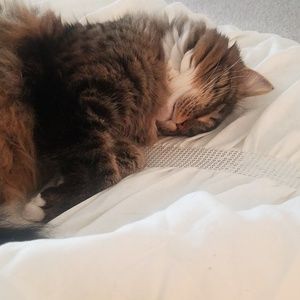 Meet your Posher, Jasmine