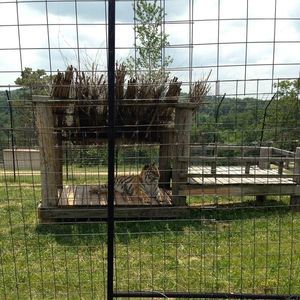 Meet your Posher, Carrie ann