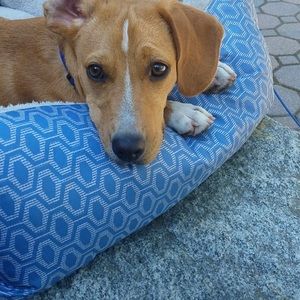 Meet your Posher, Mackenzie