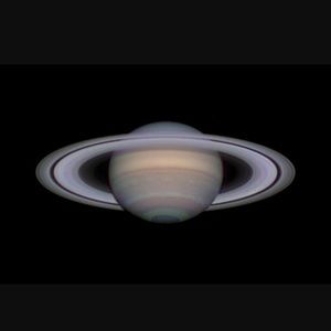 Meet your Posher, Ronnalee