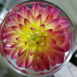 Meet your Posher, Lanna-rae