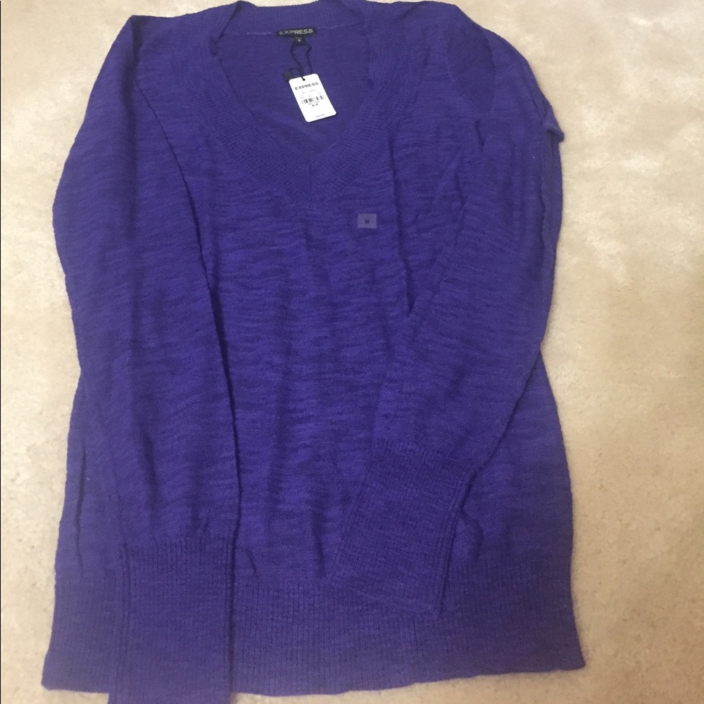 Express purple V neck sweater
