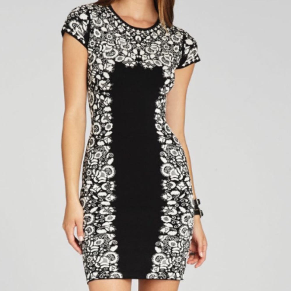 BCBG fabiana puckering floral jaquard dress