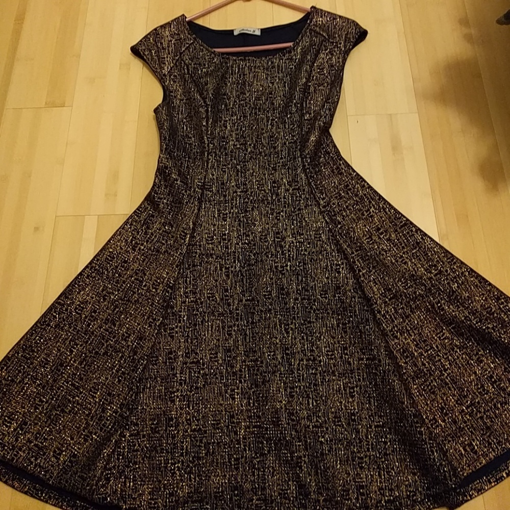 Gold and Navy Skater Dress