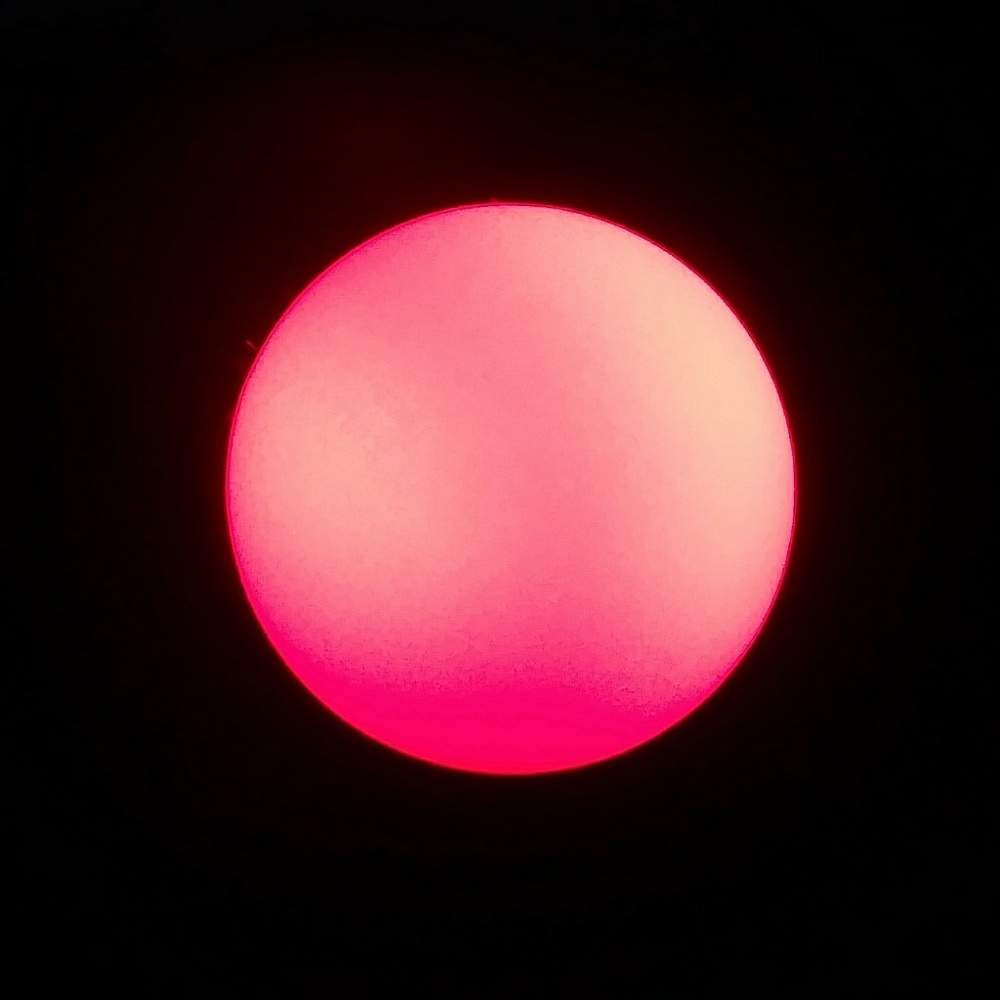 Meet your Posher, Nikki E.