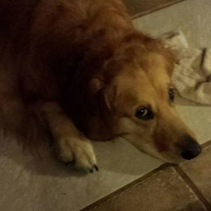 Meet your Posher, Rita