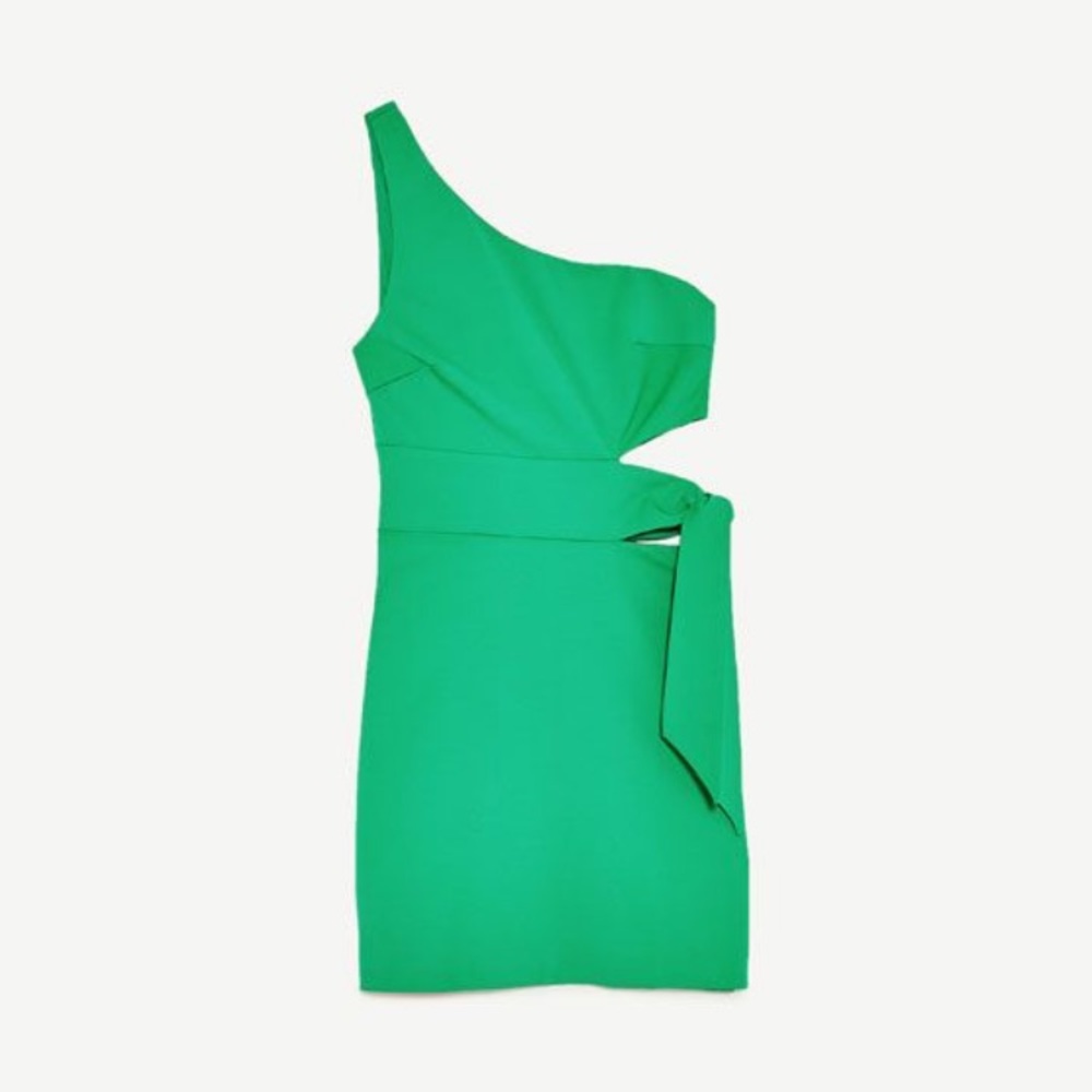 Zara Asymmetrical Sleeve Dress