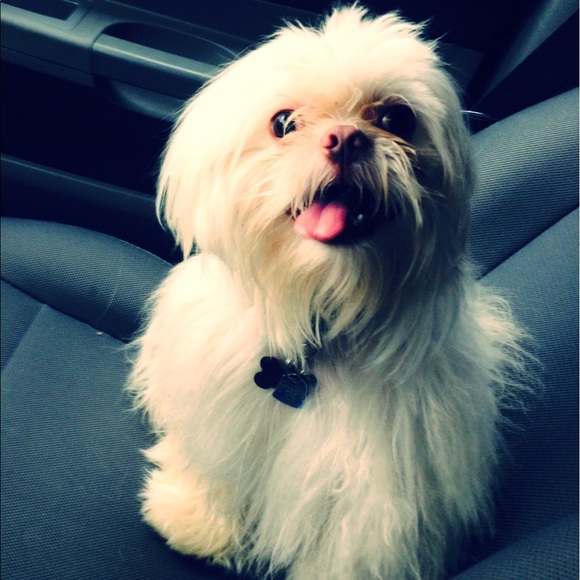 Meet your Posher, Debra - Picture 3 of 3