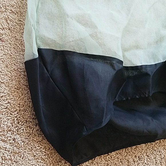 Sheer Mint Dress with Black Hem - Picture 3 of 3