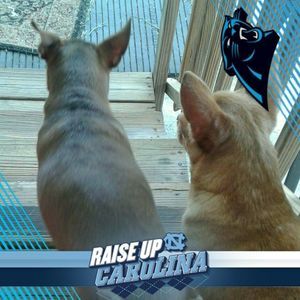 Meet your Posher, Regina