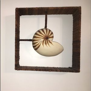Seashell wall decor
