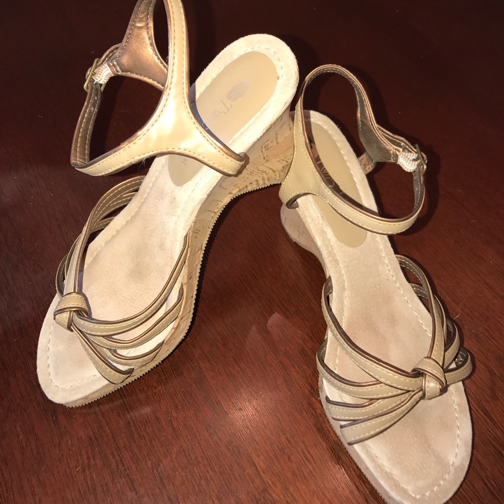 Two Lips wedges