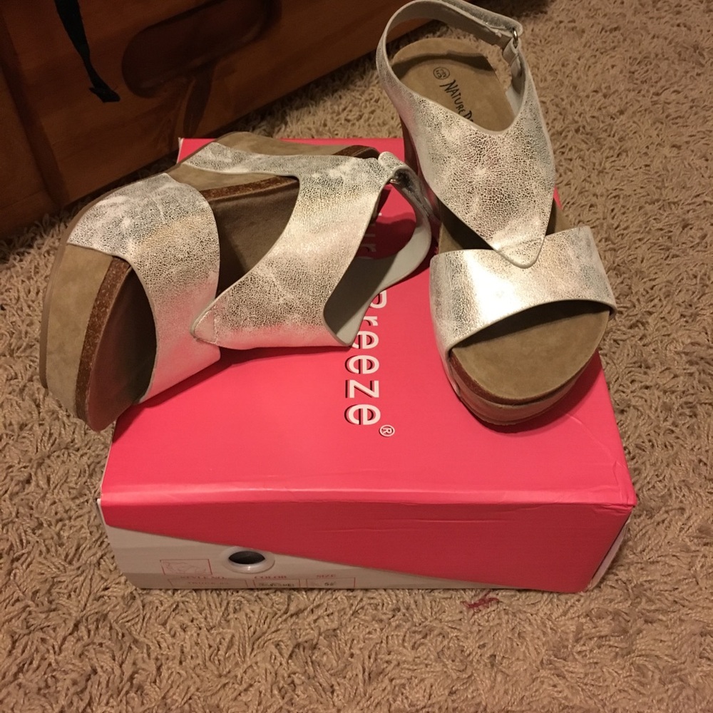 Silver wedge