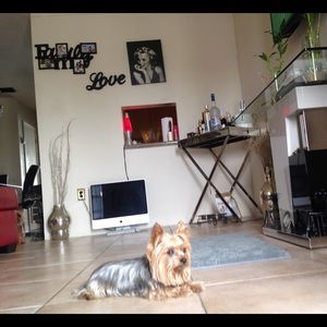 Meet your Posher, Marquiss