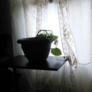 Meet your Posher, Edris