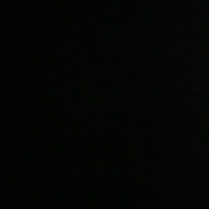 Meet your Posher, Mylo