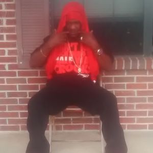 Meet your Posher, Dino