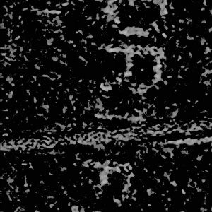 Meet your Posher, Zane