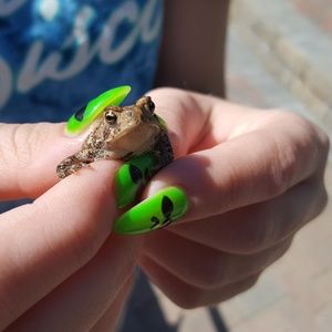 Meet your Posher, Lisa