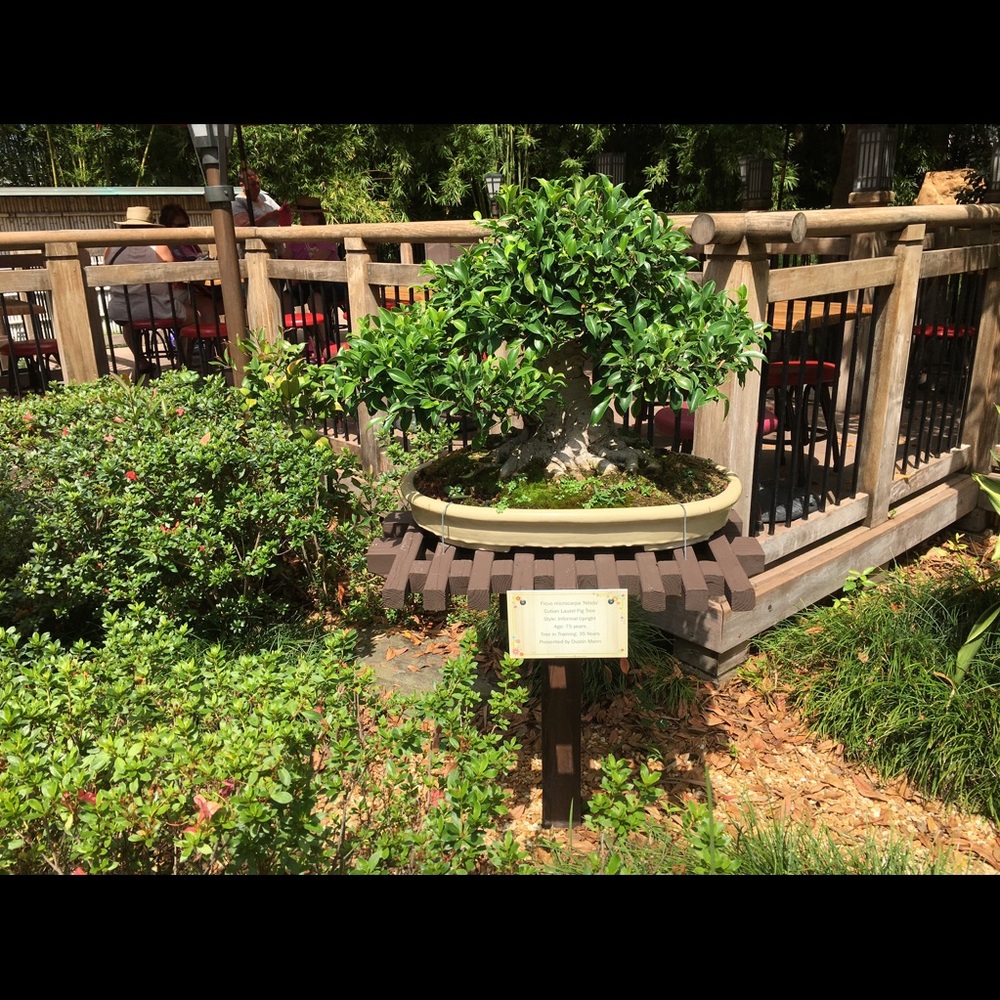 Meet your Posher, Judith