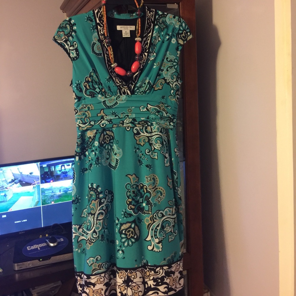 Size 8p Liz Clairbone dress in excellent condition