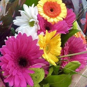 Meet your Posher, Victoria