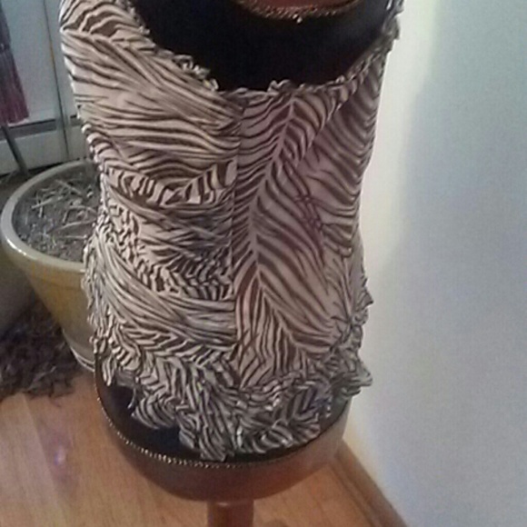 Beautiful and Sexy Shell. - Picture 4 of 5