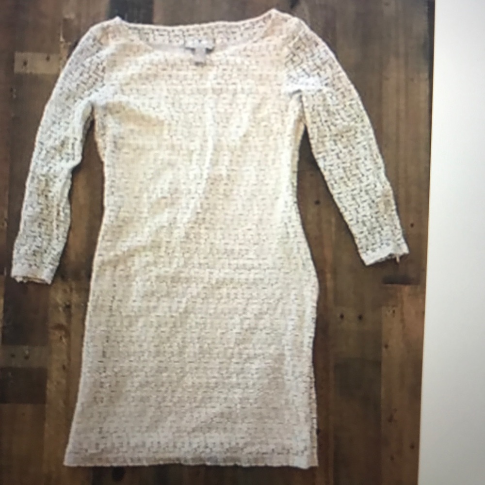 Banana Republic Ivory Lace shift dress