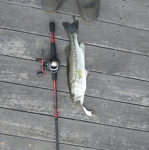 Meet your Posher, Chase