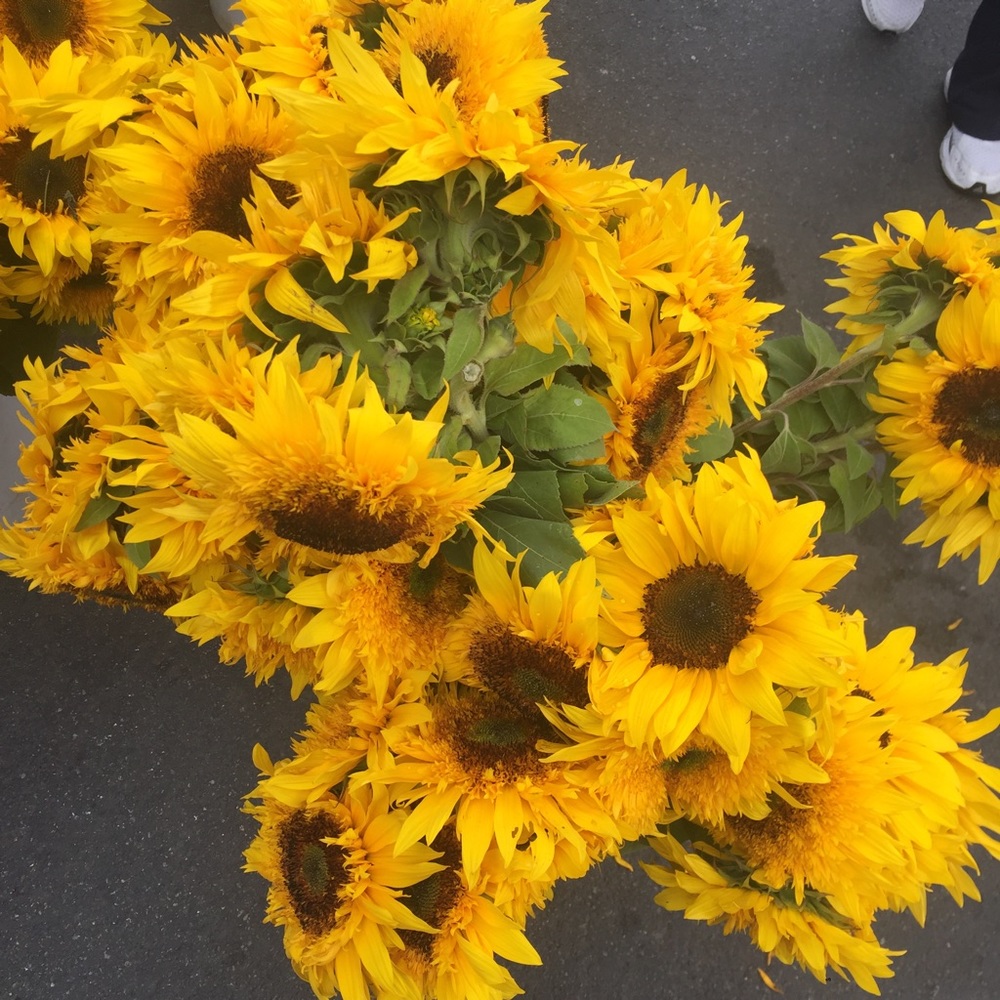 Meet your Posher, Jordan