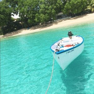 Meet your Posher, Alex