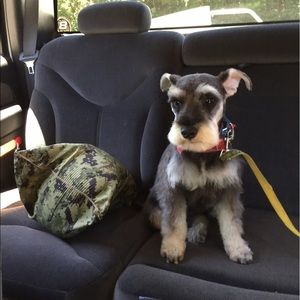 Meet your Posher, Belva