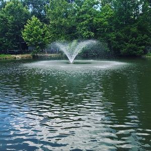 Meet your Posher, Mia