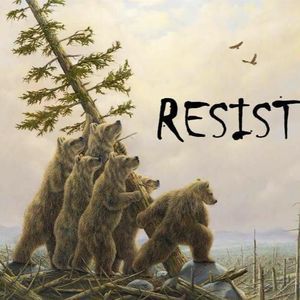 Meet your Posher, Mia