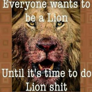 Meet your Posher, Darrell