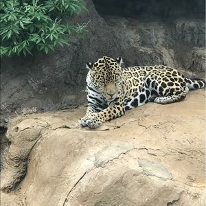 Meet your Posher, Terry