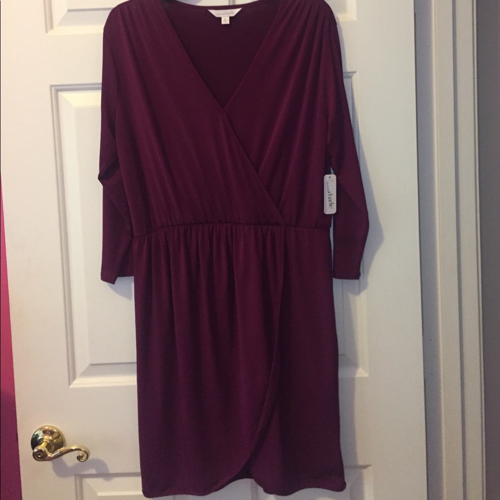 Charming Charlie Dark Red V-Neck Dress