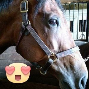 Meet your Posher, Polly