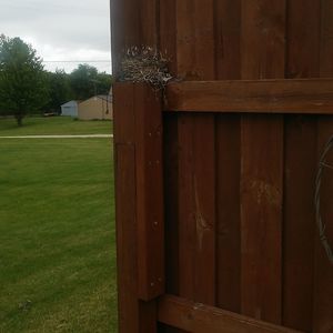 Meet your Posher, Barb