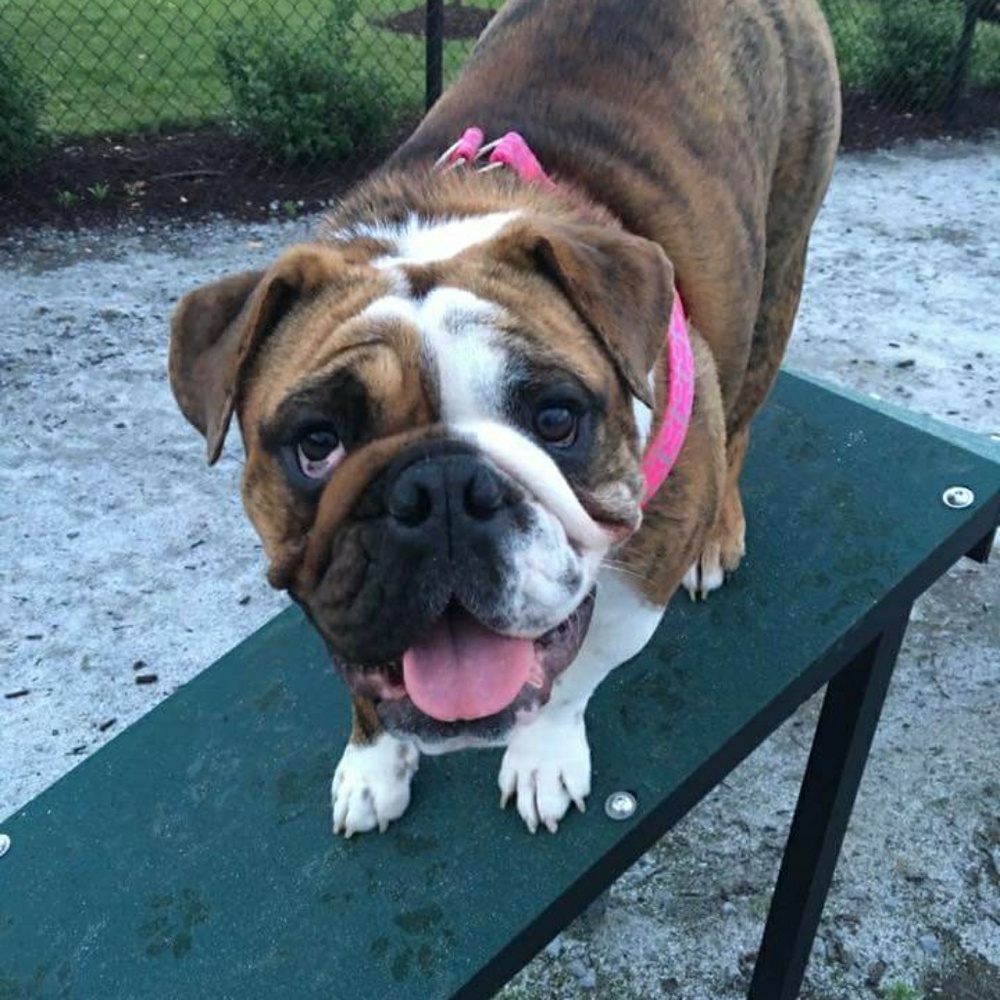 Meet your Posher, Linda