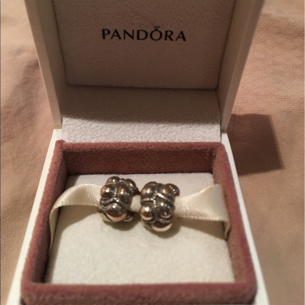 Pandora Silver Charm Set