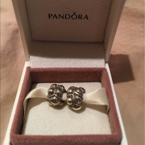 Pandora Silver Charm Set